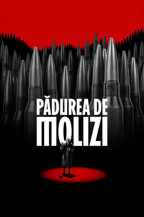 Spruce Forest (2025) poster