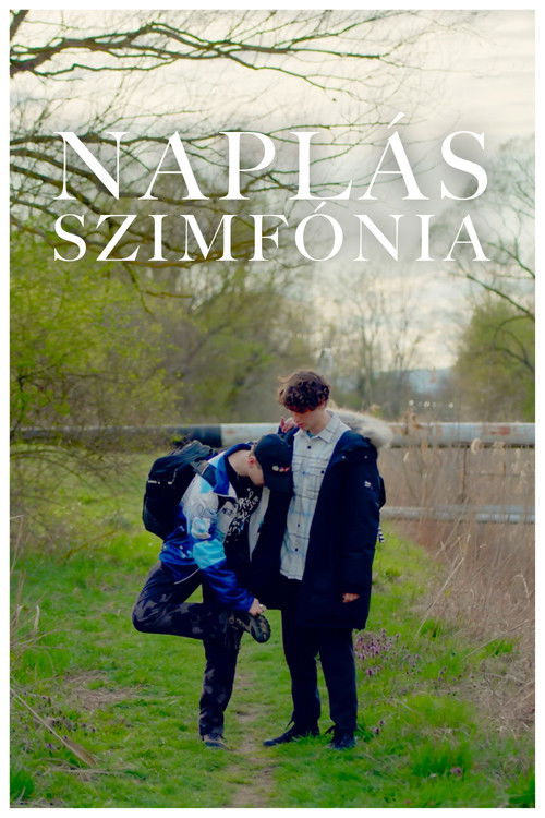 Naplás Szimfónia (2023) poster