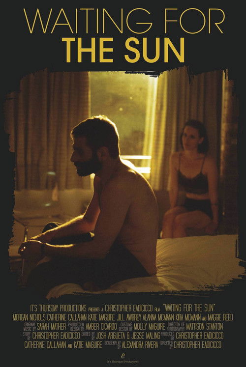 Waiting for the Sun (2016) poster