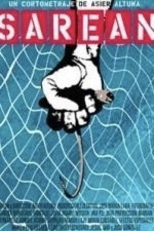 In the Net (2006) poster