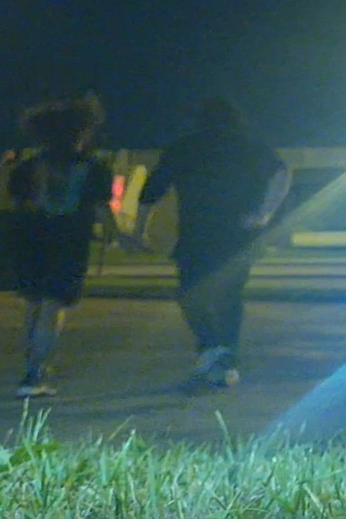 The Real Deal (2024) poster