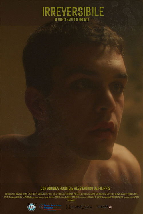 Irreversible (2020) poster