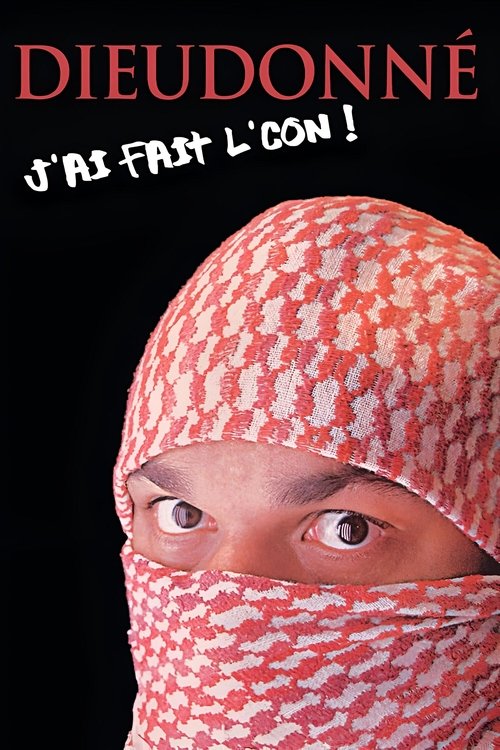 Dieudonné - J’ai fait l’con (2009) poster
