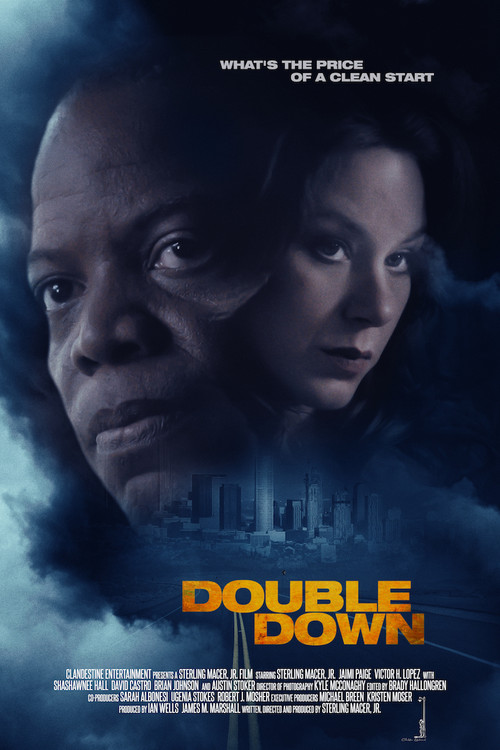 Double Down (2020) poster