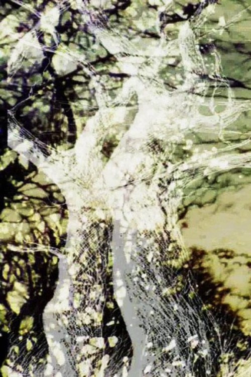 Holloway (2015) poster