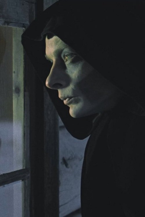 The Visitor (1979) poster