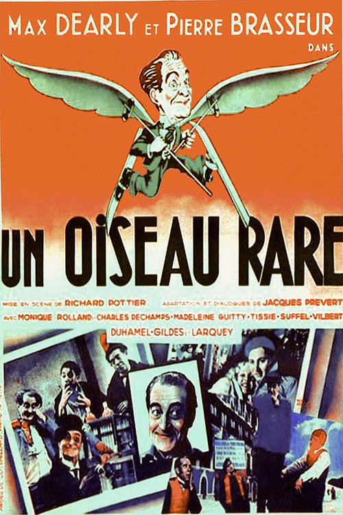A Rare Bird (1935) poster