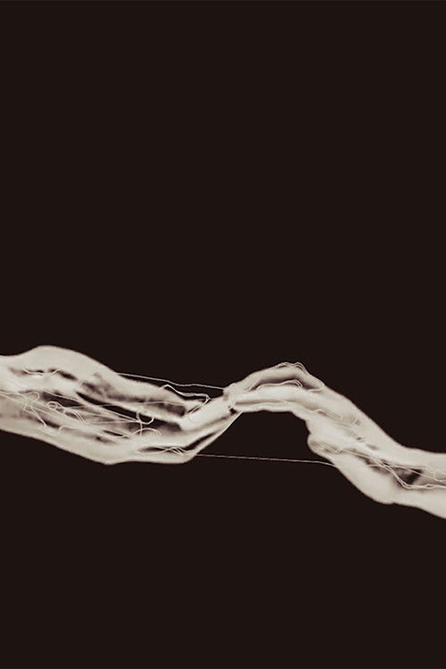 Preludio de un destello (2024) poster