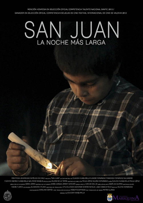 St John: The Longest Night (2012) poster