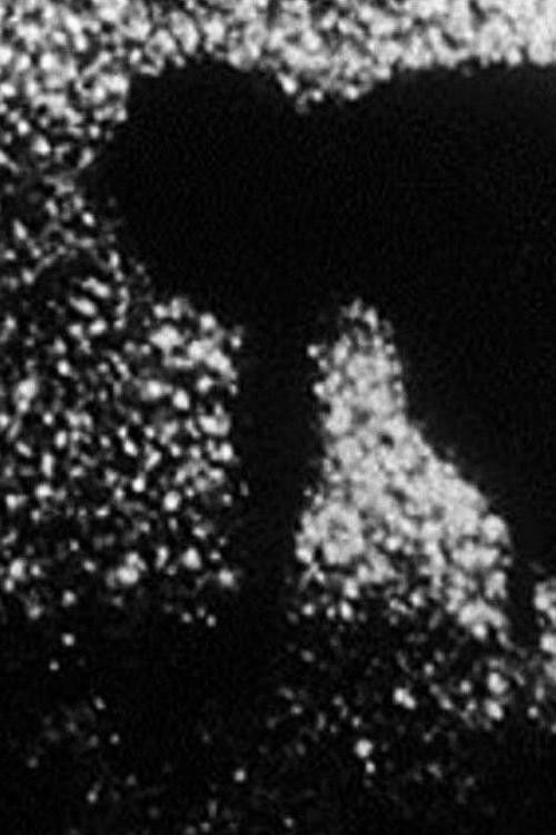 The Passage of the Bride (1980) poster