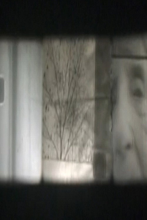 From End to End (2006) poster