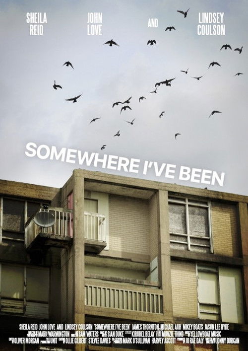 Somewhere I've Been (2022) poster