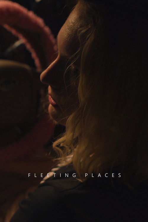 Fleeting Places (2024) poster