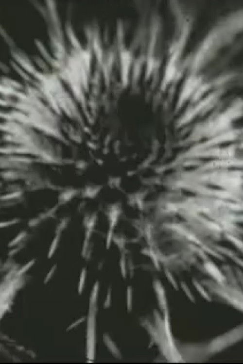 Scratch (1998) poster