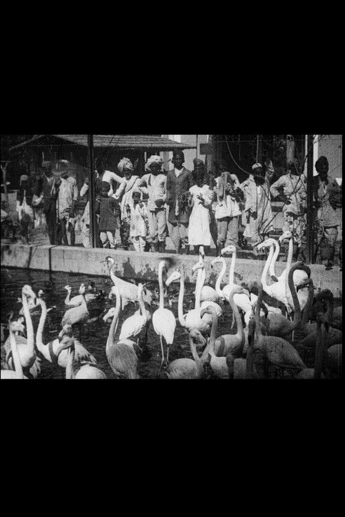 Indian Scenes (1906) poster