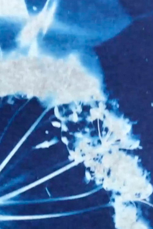 Into the Blue (2021) poster