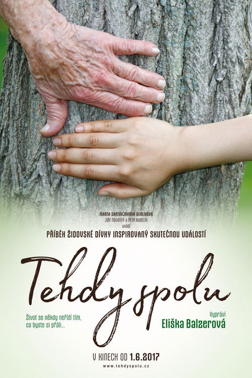 Tehdy spolu (2017) poster