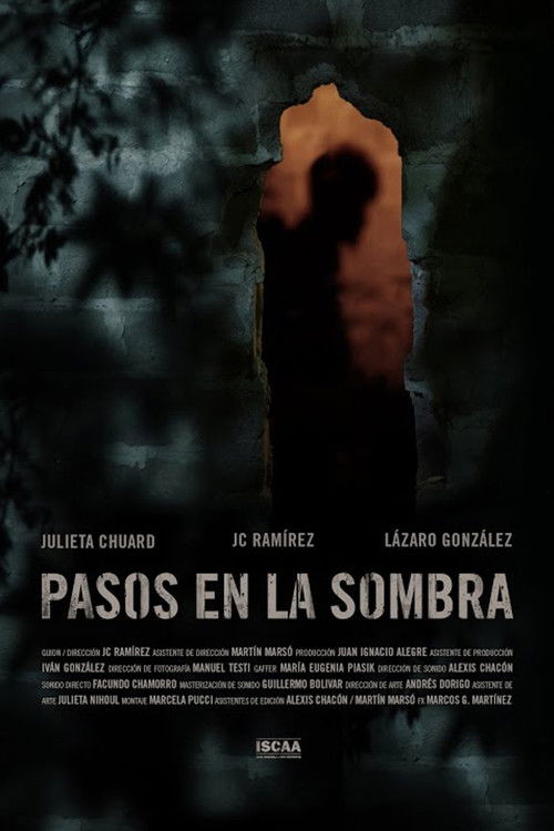 Pasos en la sombra (2020) poster