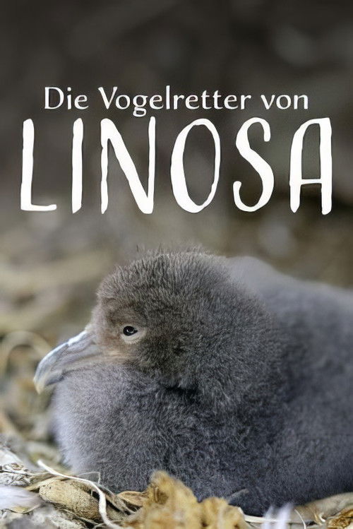 Die Vogelretter von Linosa (2025) poster