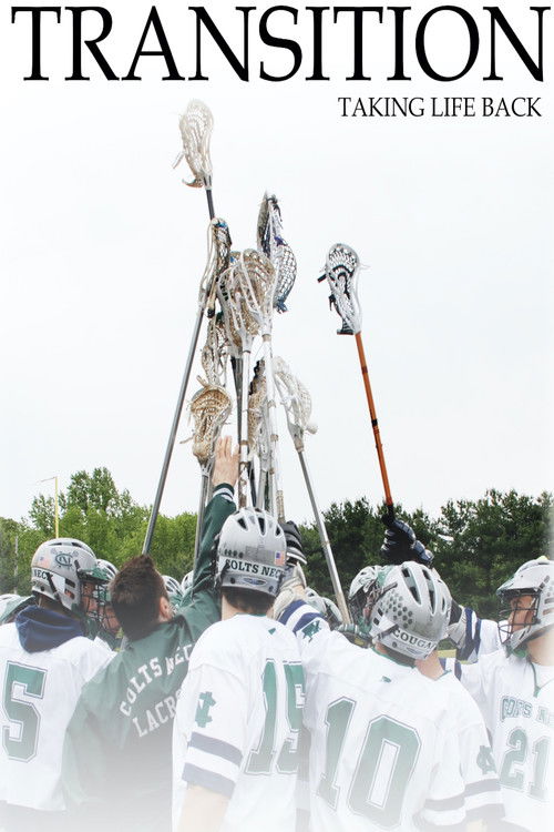 Transition (2011) poster