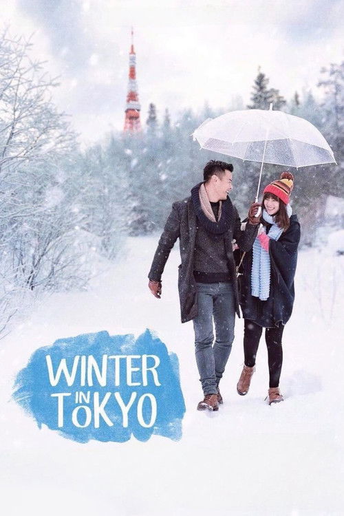 Winter in Tokyo (2016) poster