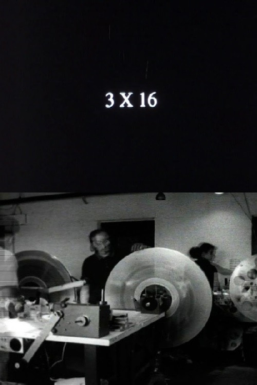 3 x 16 (2007) poster