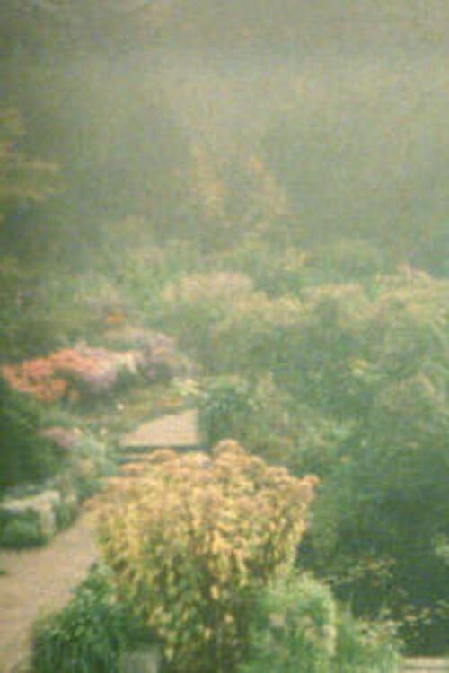 In the Garden (2002) poster