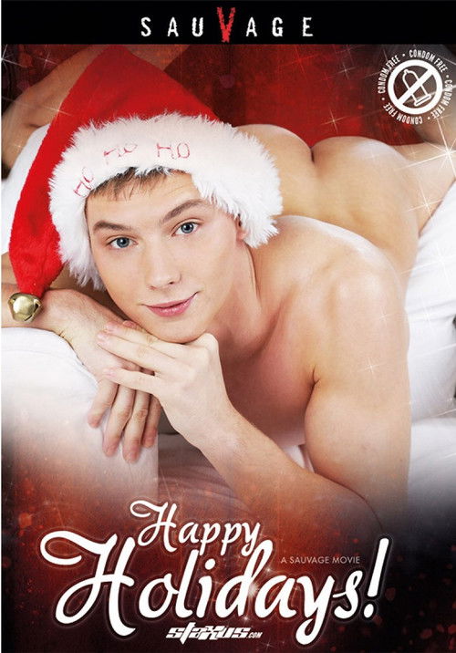 Happy Holidays! (2012) poster
