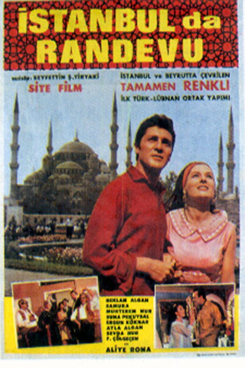 Love in Istanbul (1966) poster