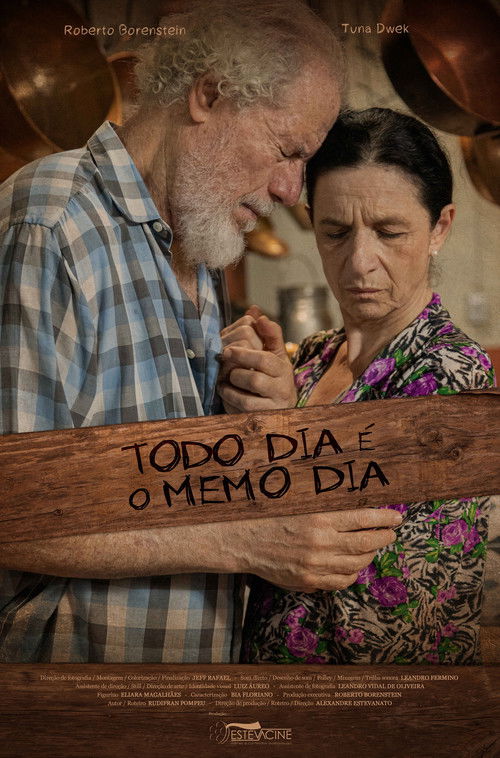 Todo Dia É O Memo Dia (2024) poster