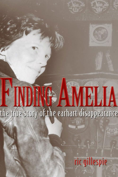 Finding Amelia (2010) poster