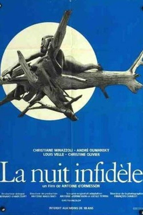 La nuit infidèle (1968) poster