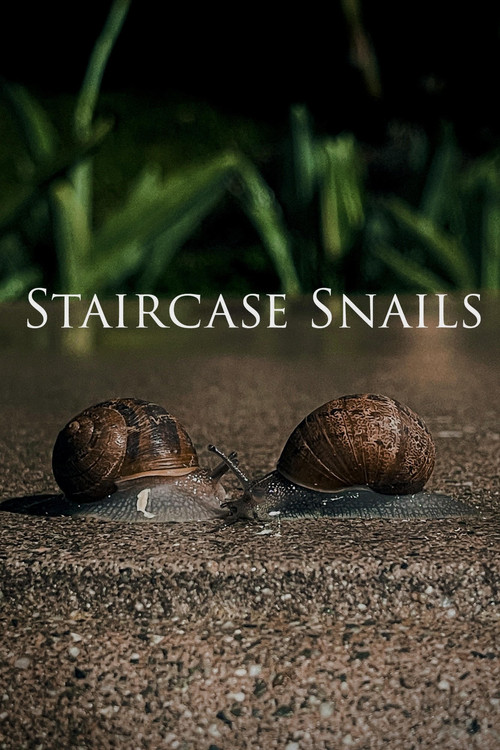 Staircase Snails (2025) poster