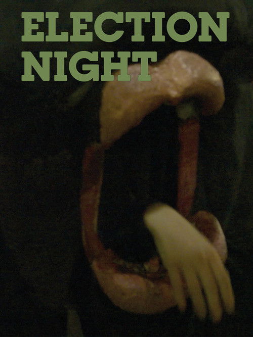 Election Night (2024) poster