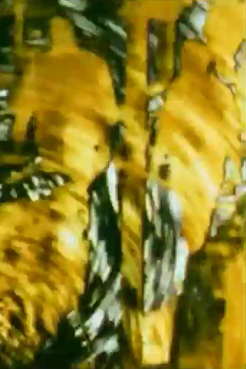 Turmoil (2000) poster