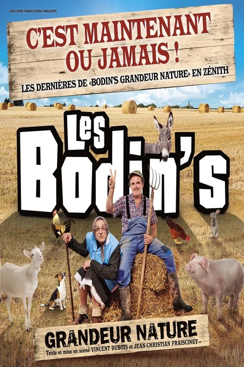 Les Bodin's - Grandeur Nature - La Dernière Des Zénith (2023) poster