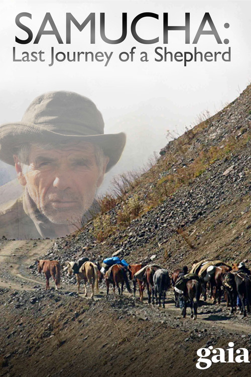 Samucha, un dernier été dans le Caucase (2010) poster