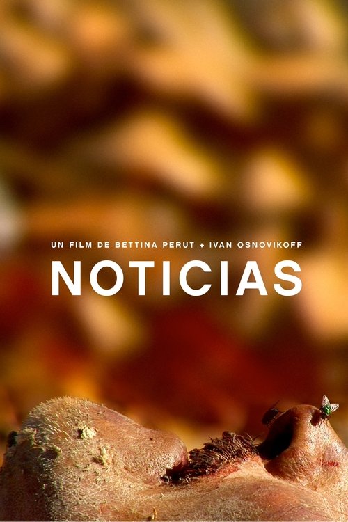 Noticias (2009) poster