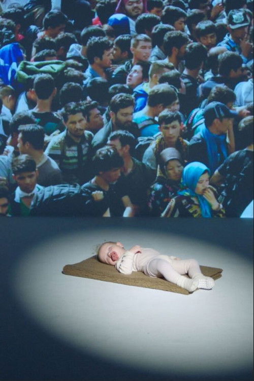 Kitten Or Refugee? (2023) poster