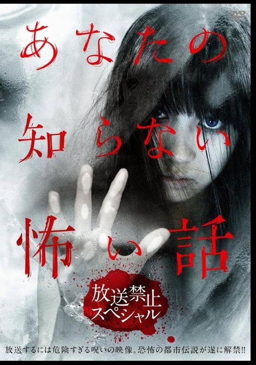 Scary Stories You Don't Know: Broadcast Prohibition Special (2013) poster