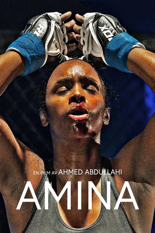 Amina (2023) poster