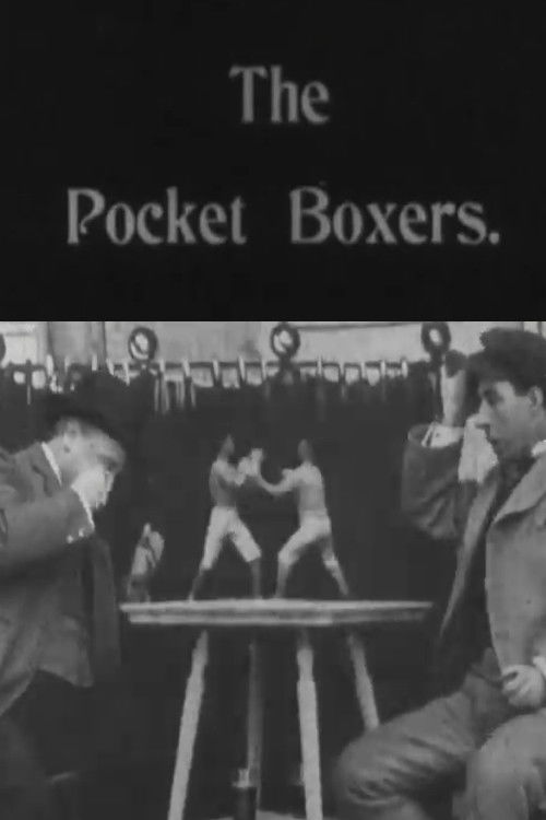 Pocket Boxers (1903) poster