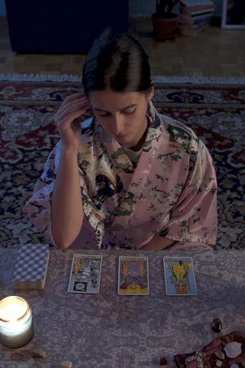 Where Do Lost Cats Go? (2023) poster