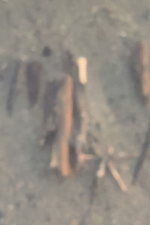 Pending (2016) poster