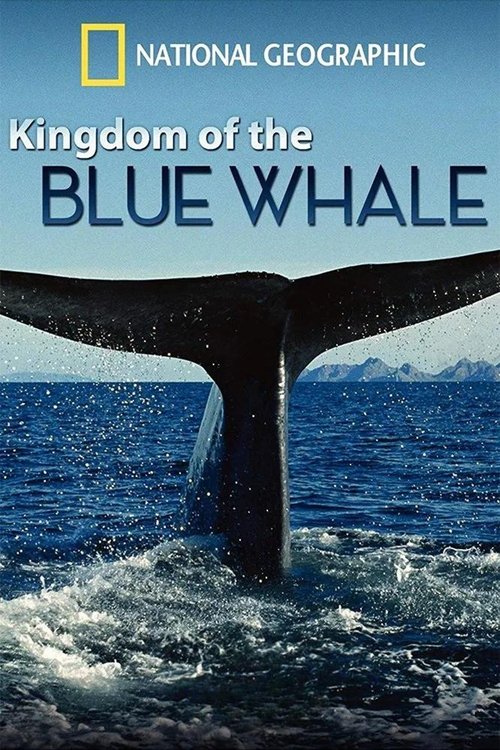 Kingdom of the Blue Whale (2009) poster