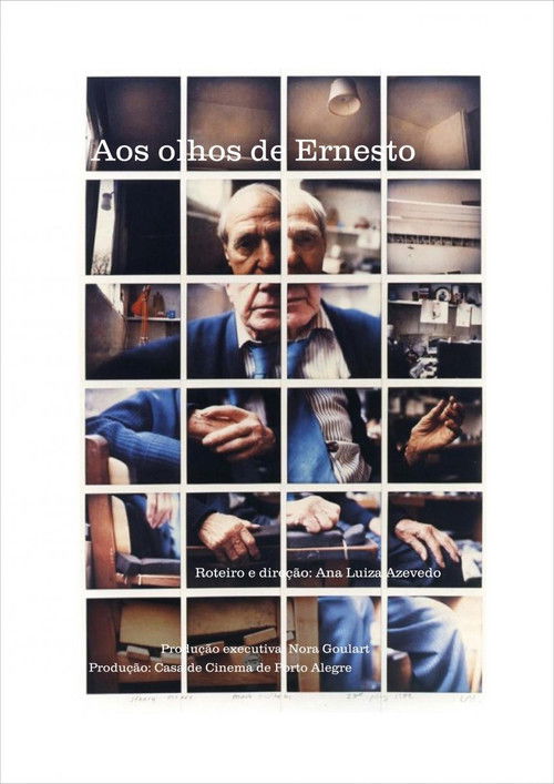 Aos Olhos de Ernesto (2019) poster
