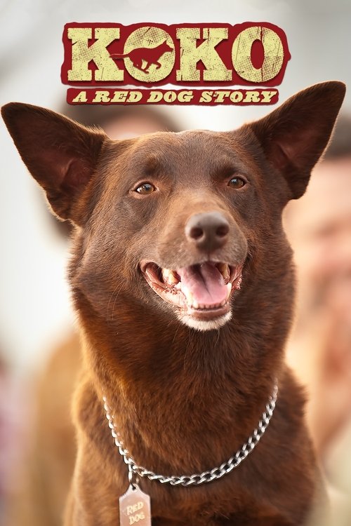 Koko: A Red Dog Story (2019) poster