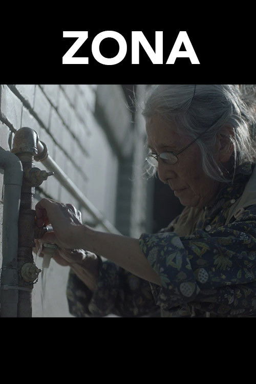 ZONA (2021) poster