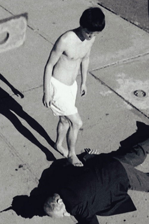 Cold Noodles (2010) poster