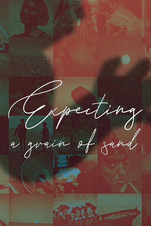 Expecting A Grain Of Sand (2021) poster